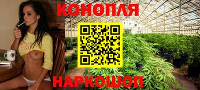 гашик Кулебаки