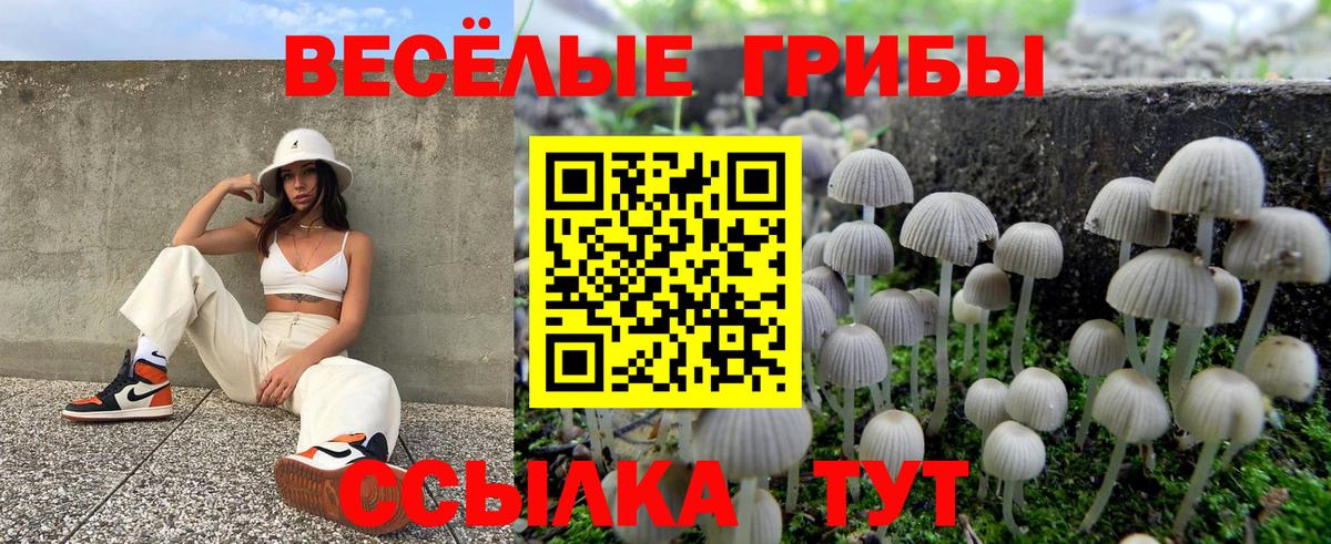 Псилоцибиновые грибы MAGIC MUSHROOMS  Галлюциногенные грибы прущие грибы  Ейск  Вход с VPN 