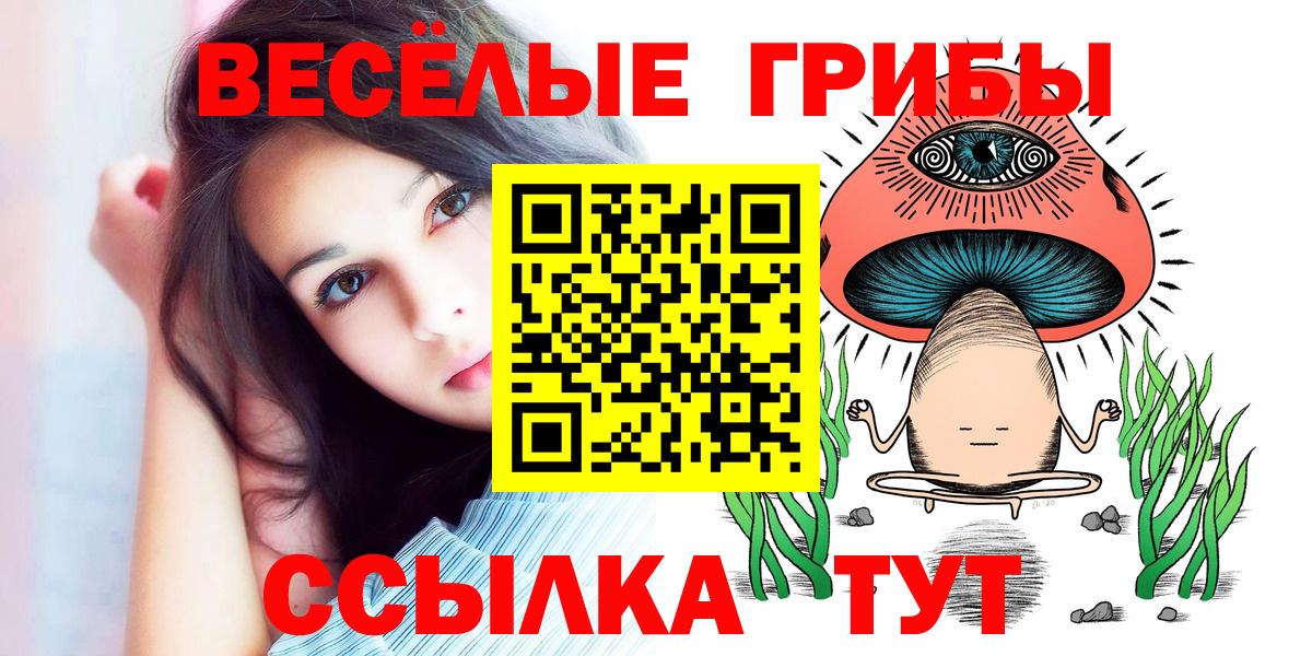 Псилоцибиновые грибы GOLDEN TEACHER Ейск
